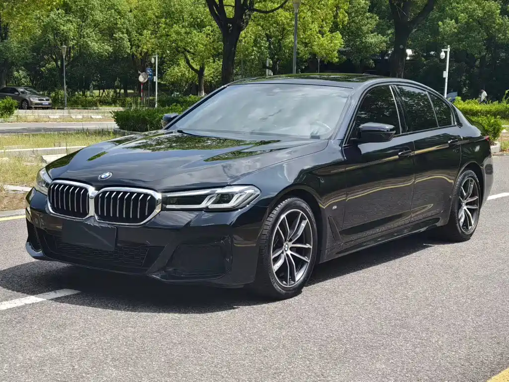 BMW 5 Series (Import)