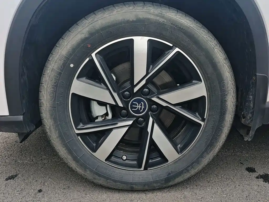 BYD Pro New Energy — миниатюра 3
