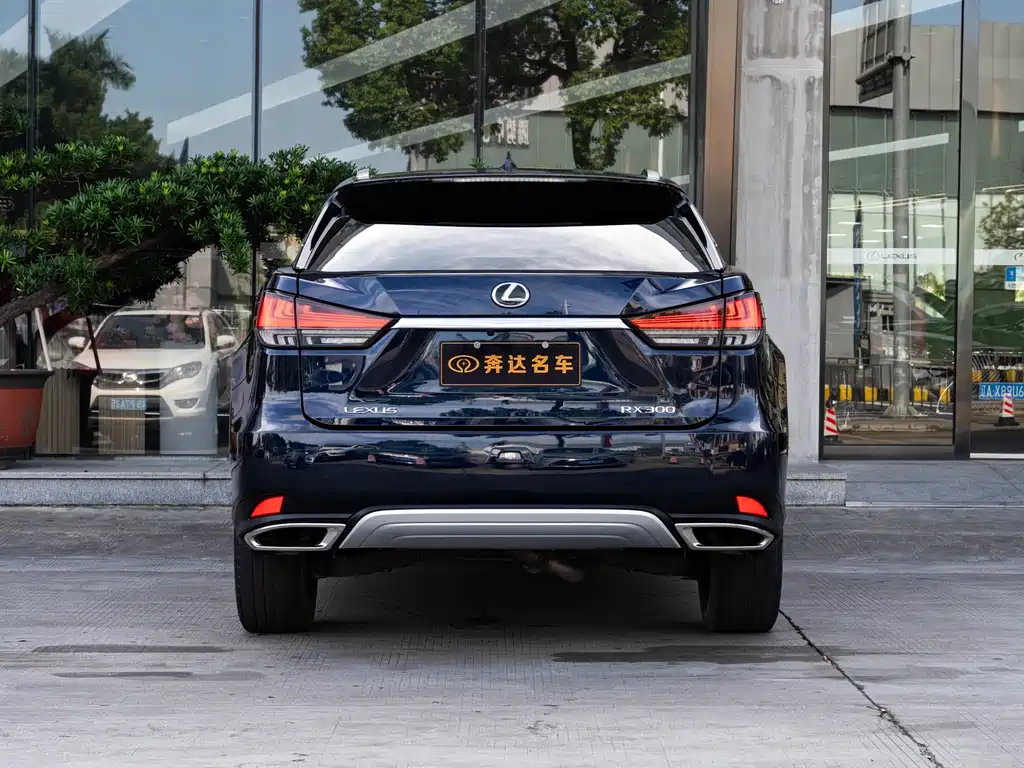 LEXUS  RX