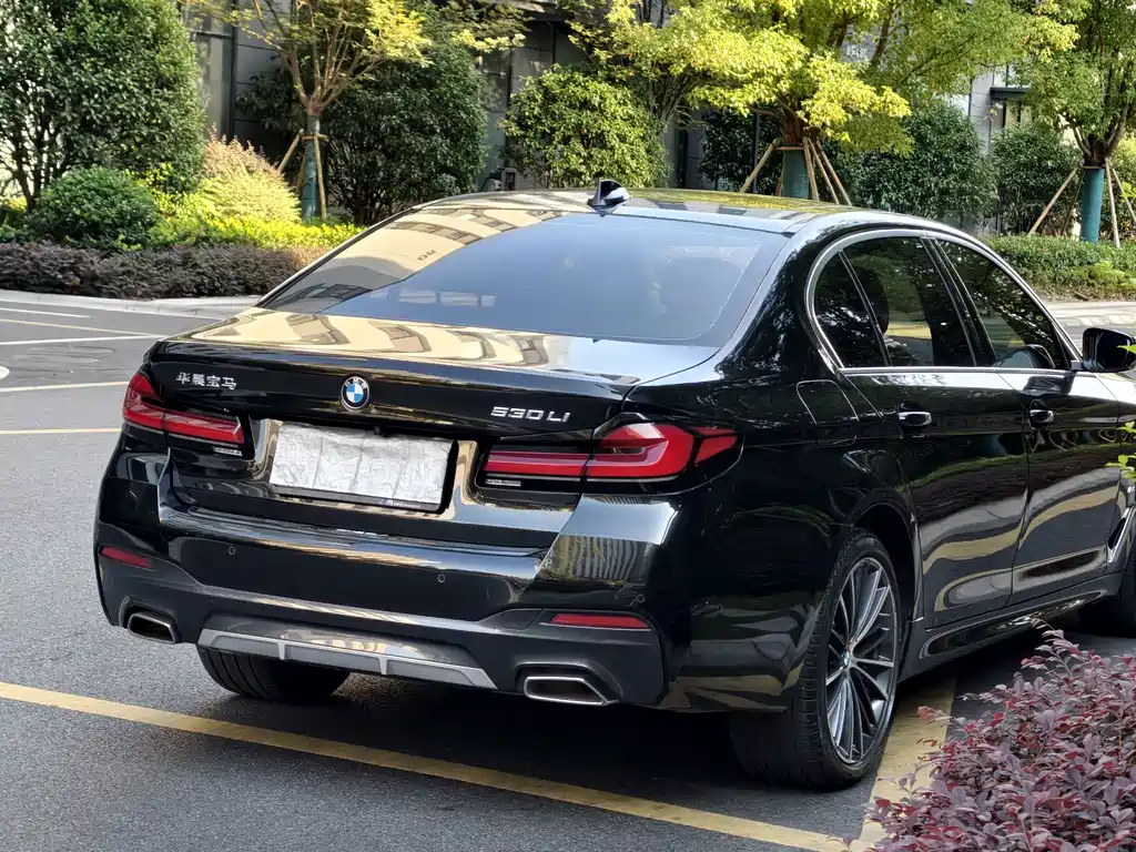 BMW 5 Series — миниатюра 5