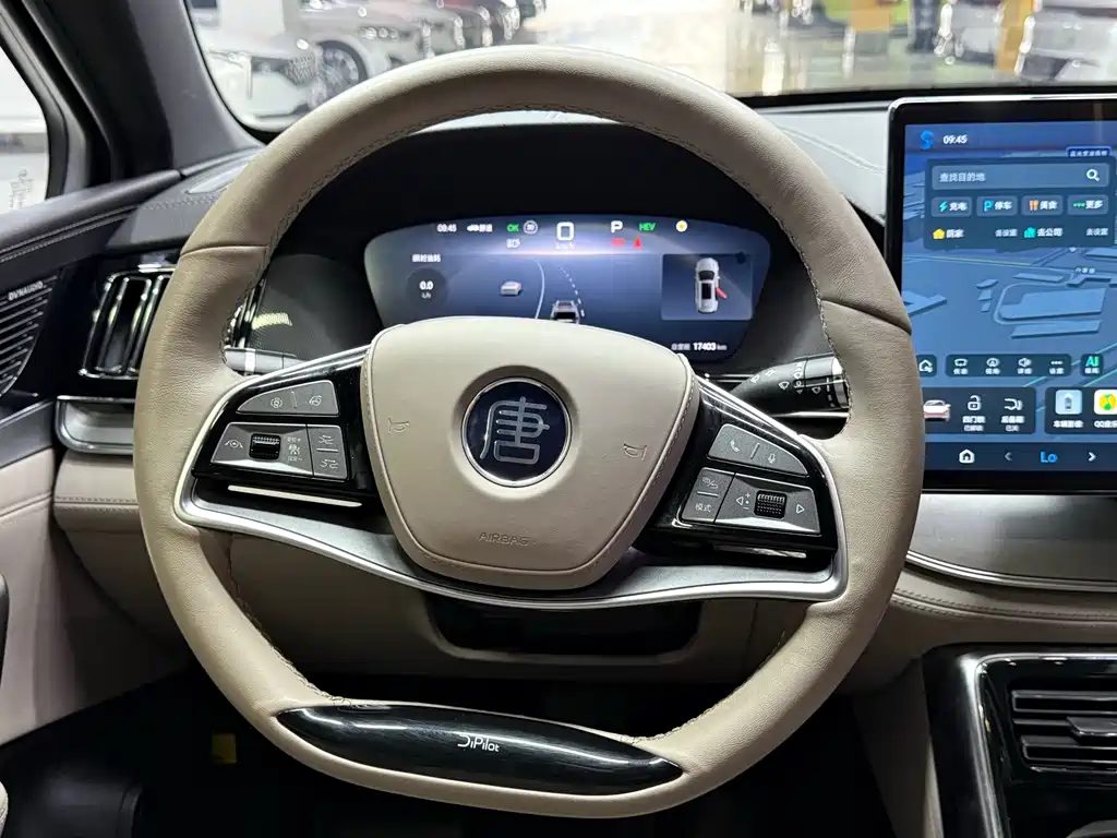 BYD Tang New Energy — миниатюра 14