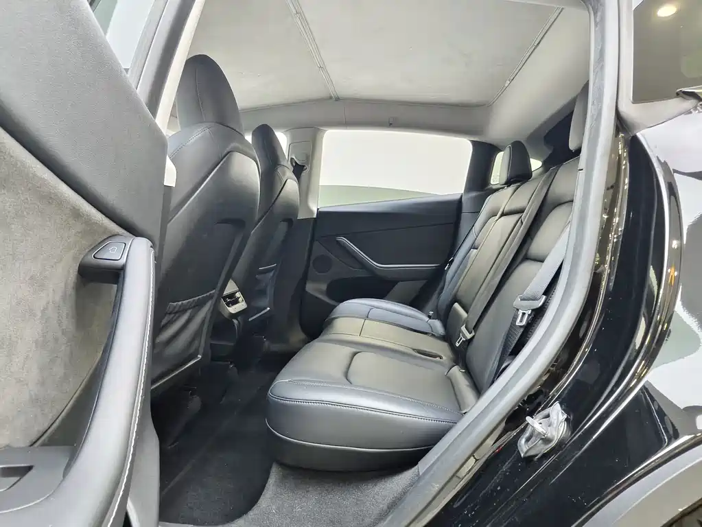 Tesla Model Y — миниатюра 10