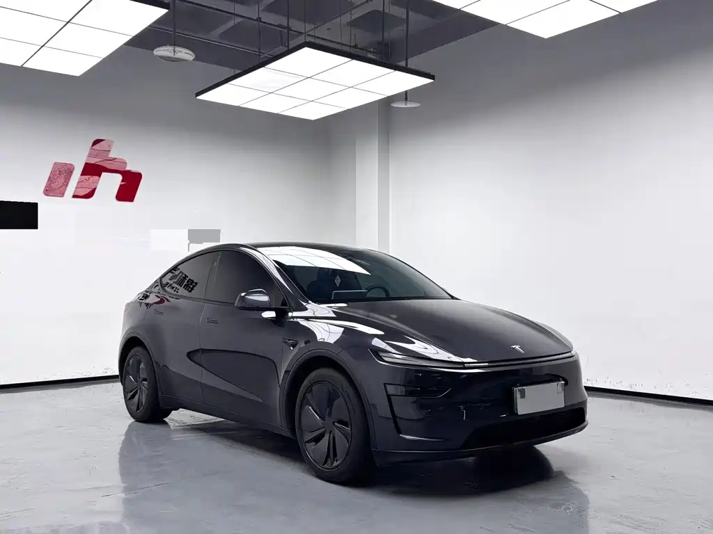 Tesla Model Y — миниатюра 2