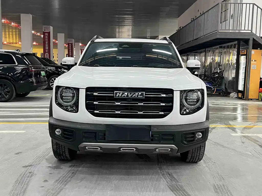 HAVAL BIG DOG