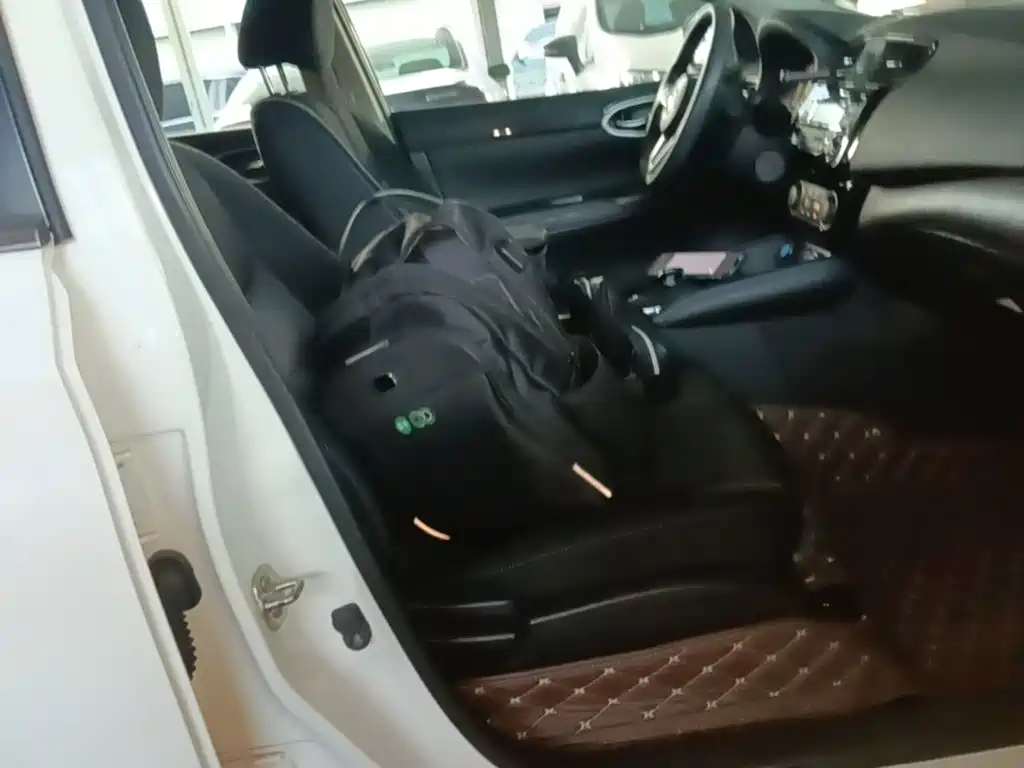 Nissan Sylphy EV — миниатюра 25