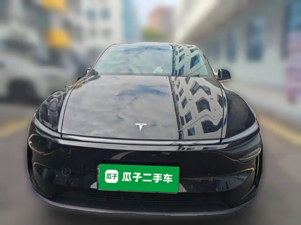 Tesla Model Y — миниатюра 2