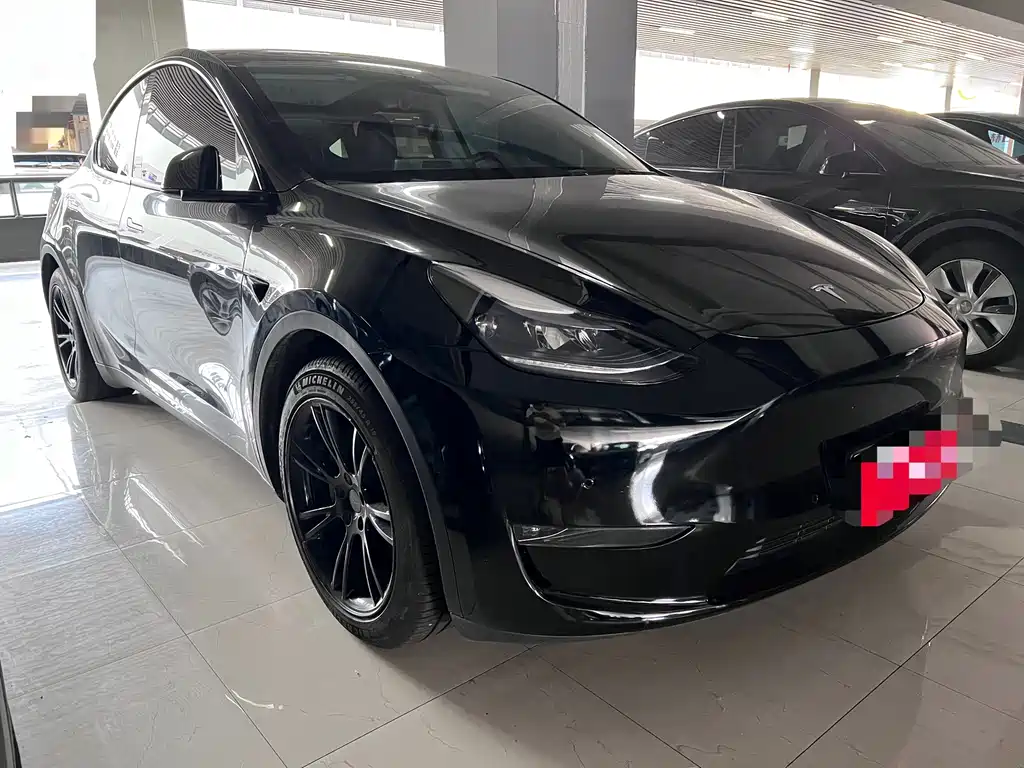 Tesla Model Y — миниатюра 3