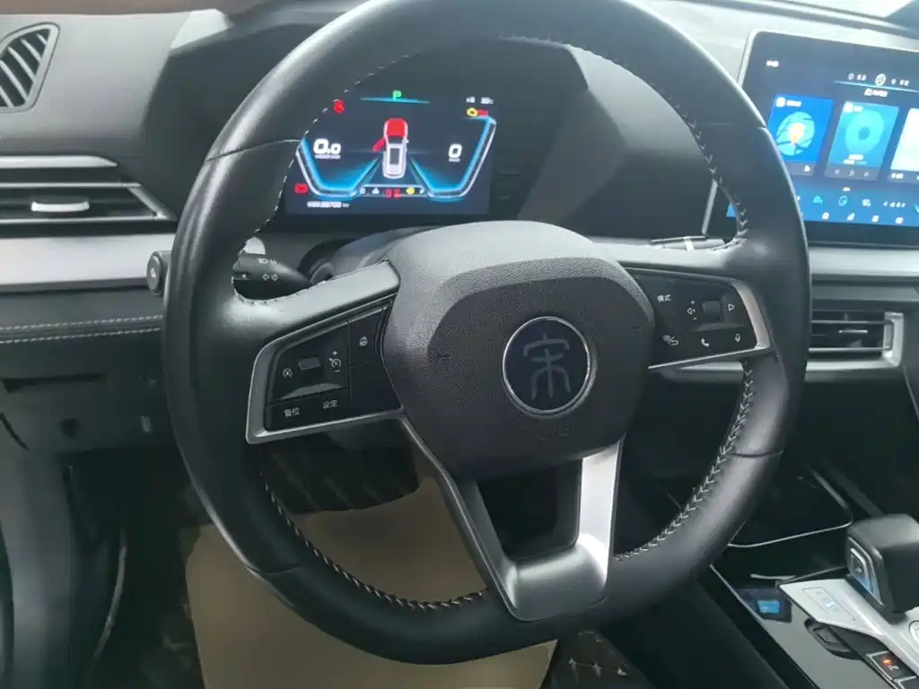 BYD Pro — миниатюра 11