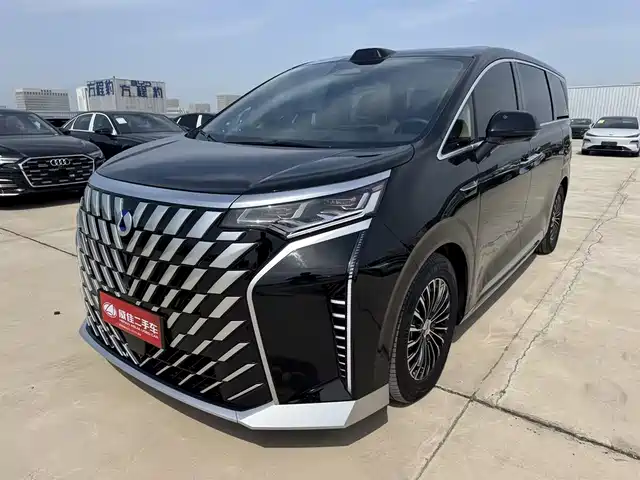 2025 Denza D9