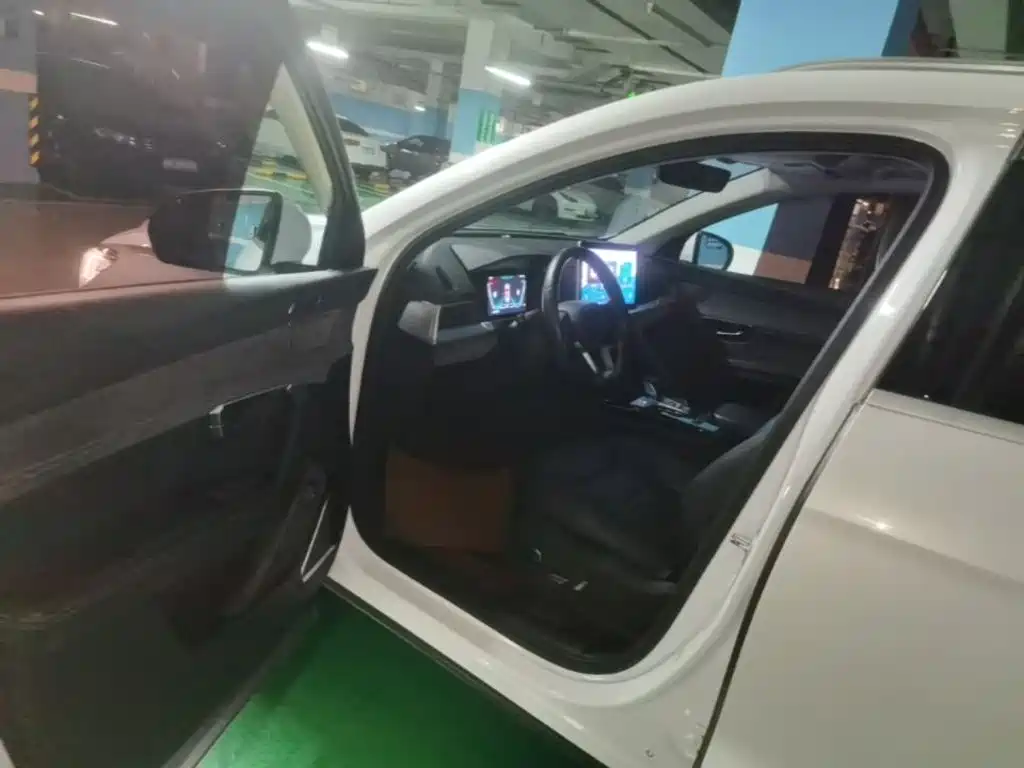 BYD Pro New Energy — миниатюра 16