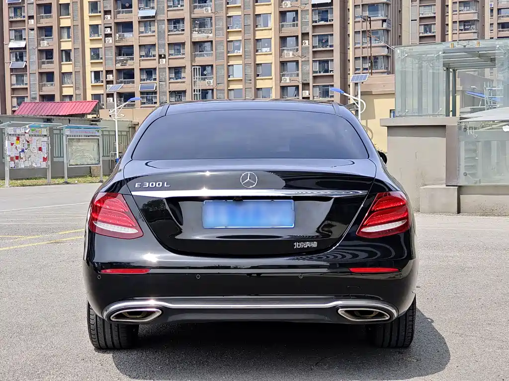 Mercedes-Benz E-Class E 2019 E 300 L Luxury