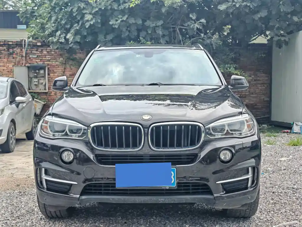 BMW X5 (Import) — миниатюра 2
