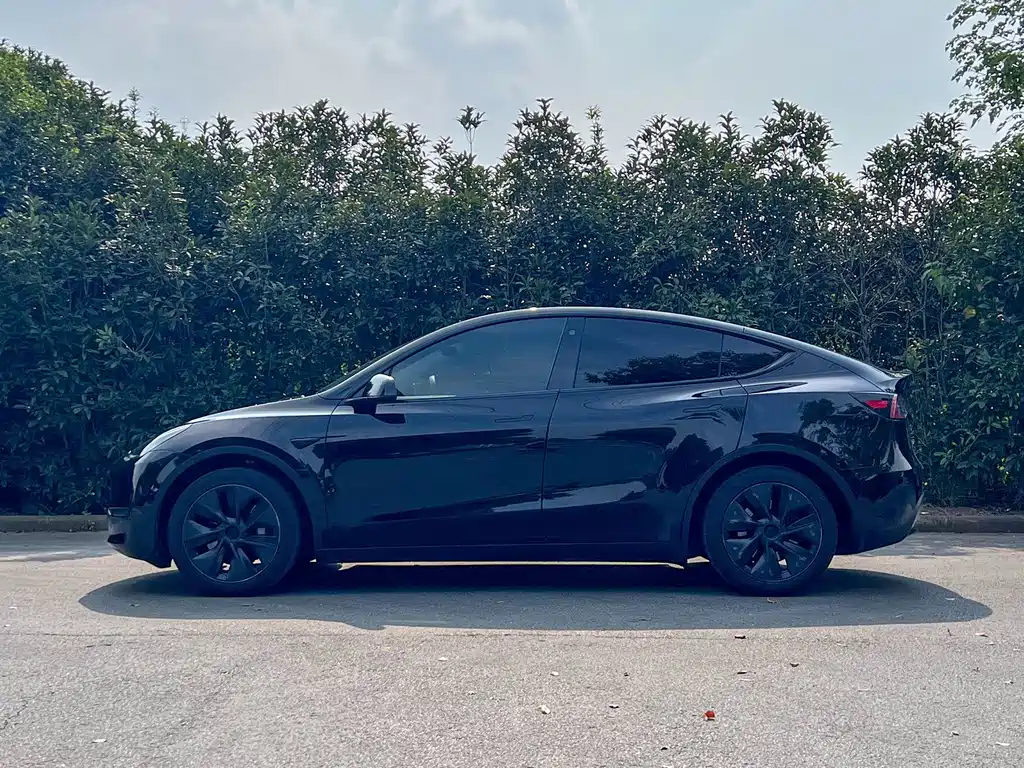 Tesla Model Y — миниатюра 6