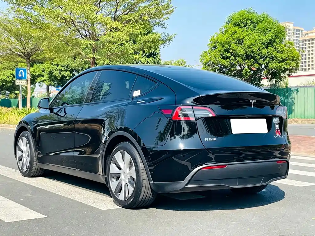 Tesla Model Y — миниатюра 7