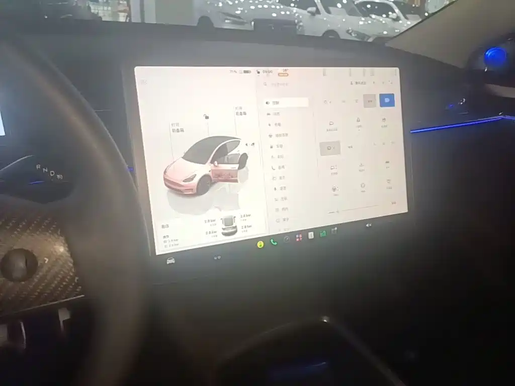 Tesla Model Y — миниатюра 13