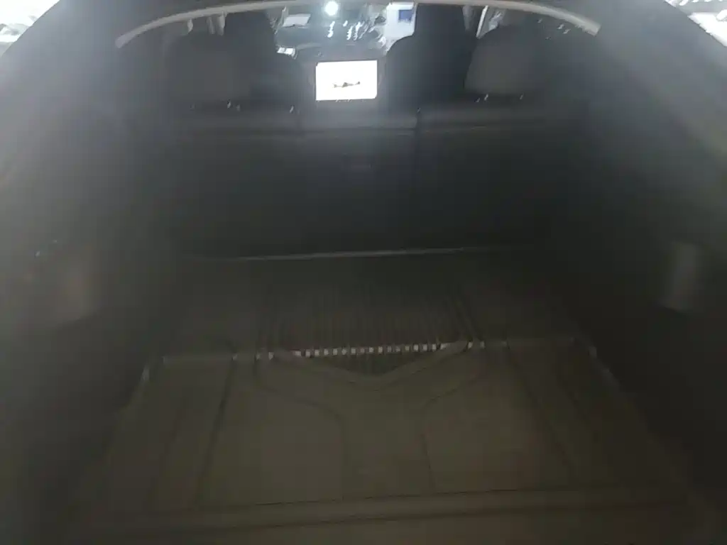 Tesla Model Y — миниатюра 19