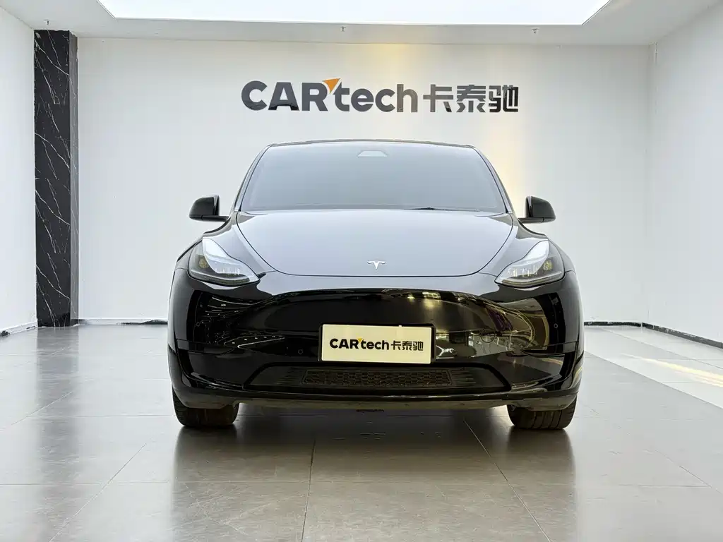 Tesla Model Y — миниатюра 2