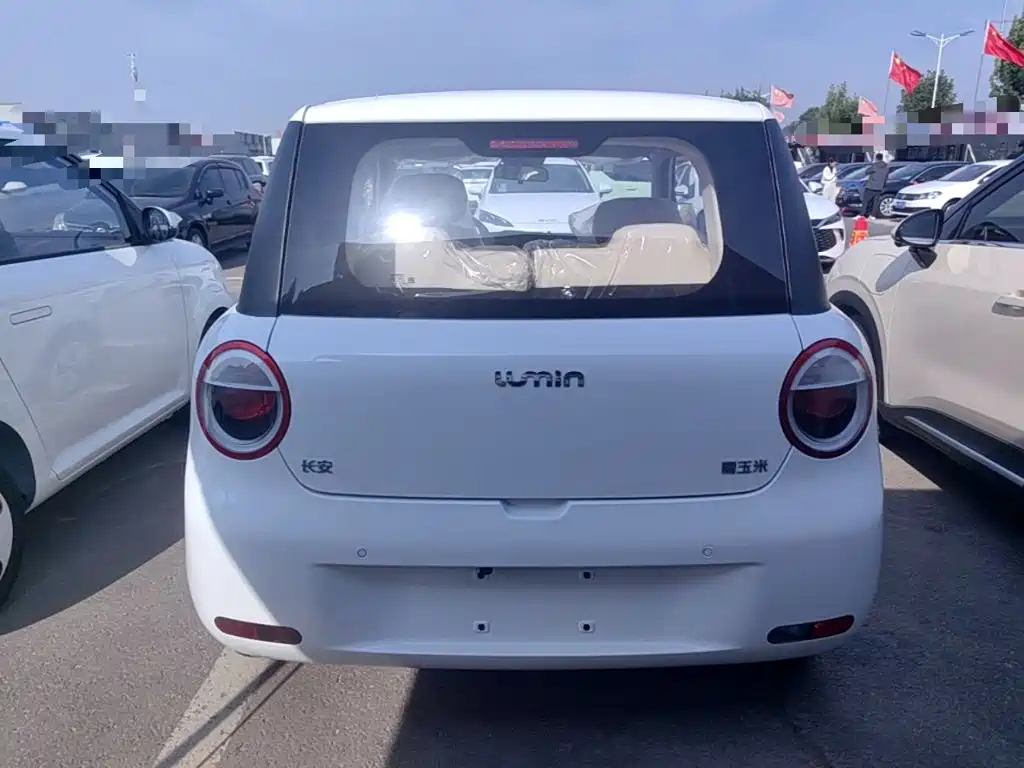 Qiyuan Lumin — миниатюра 6
