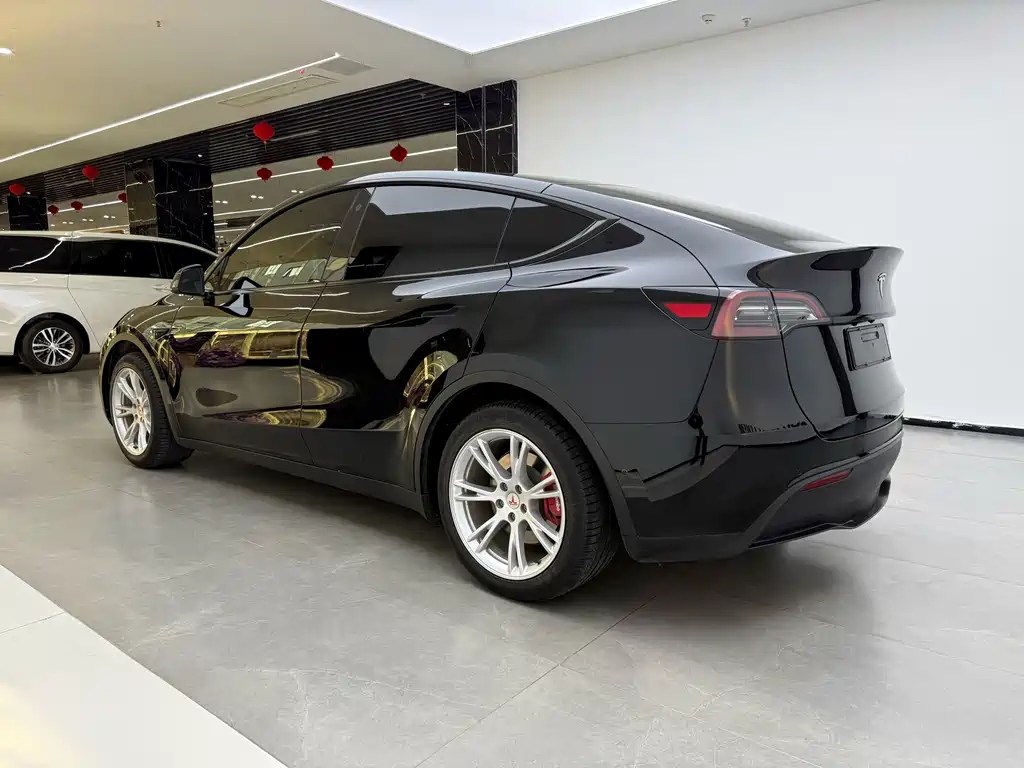 Tesla Model Y — миниатюра 4