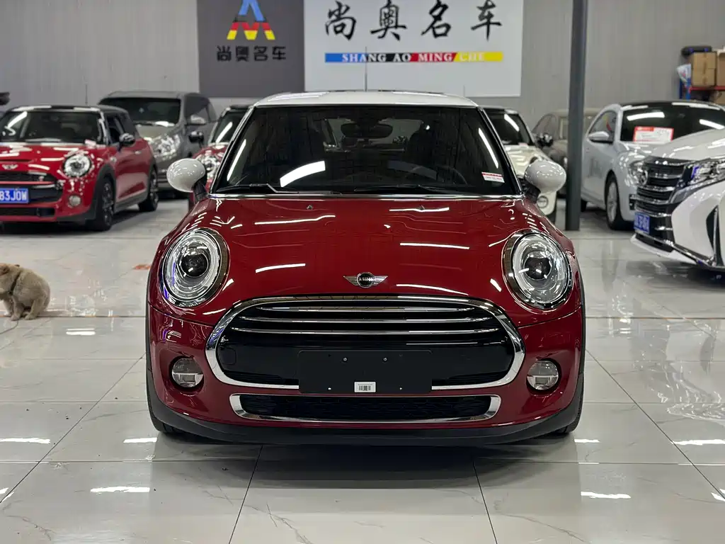 Mini Mini 2016