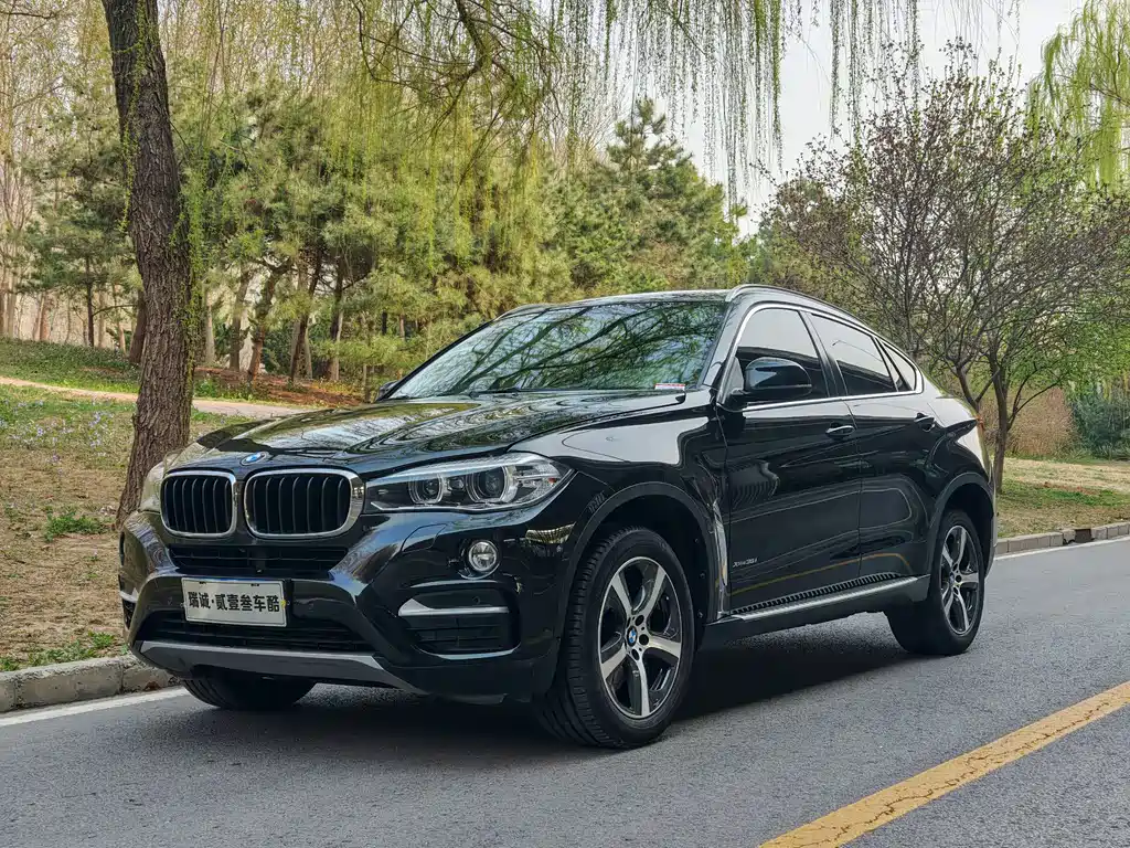 BMW X6 2015