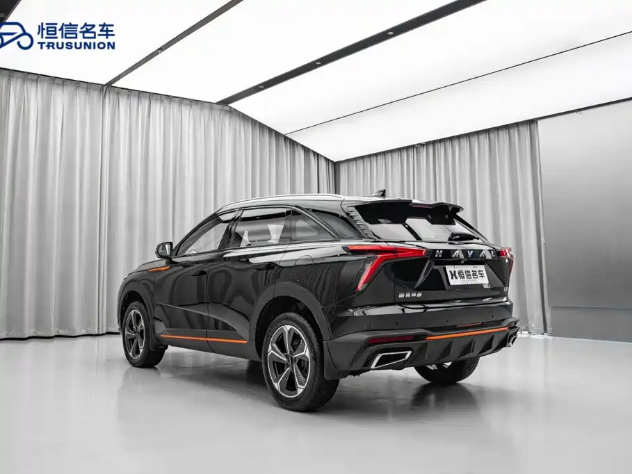 Haval Shenshou — миниатюра 11
