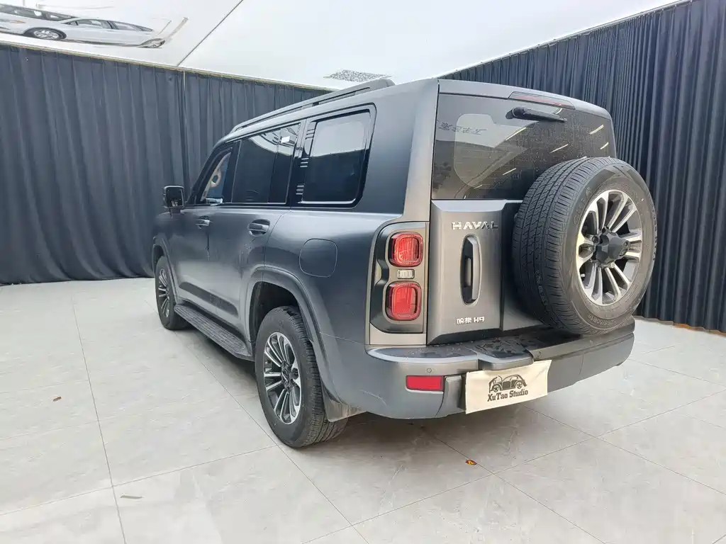 Haval H9 — миниатюра 11