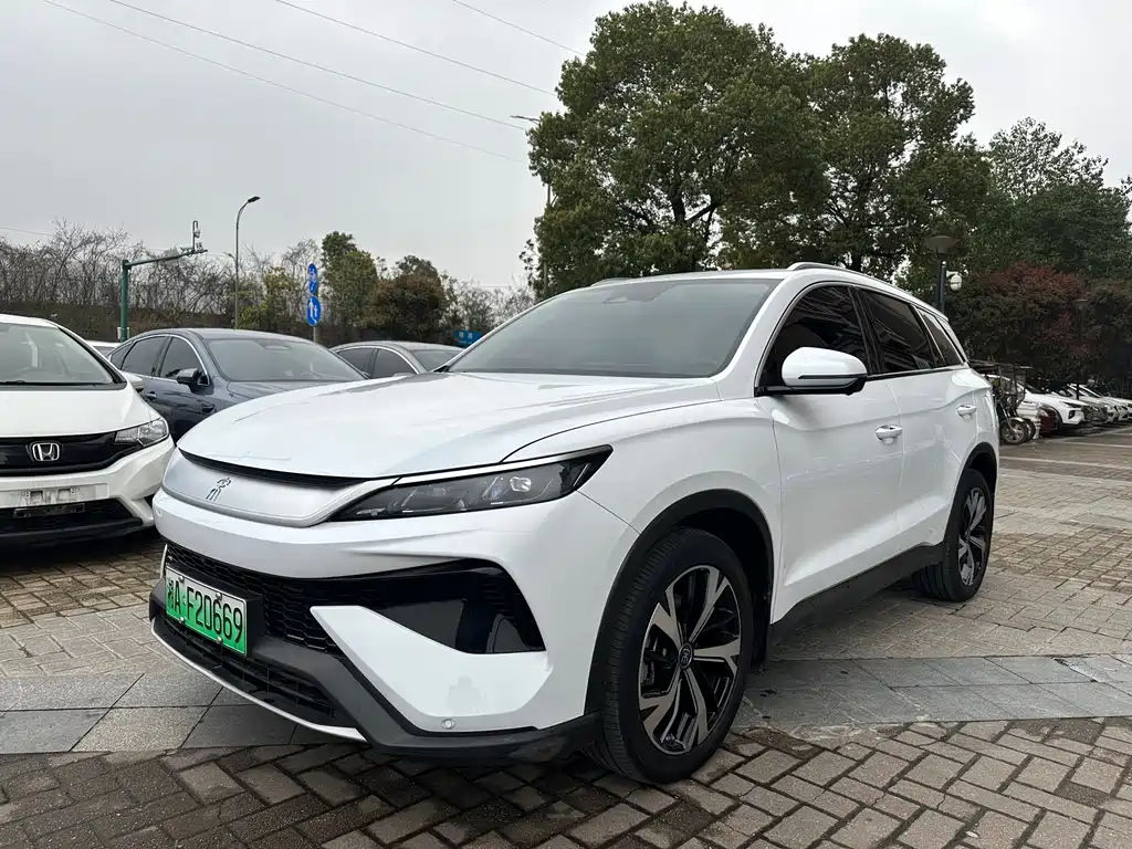 Byd Pro New Energy 2025
