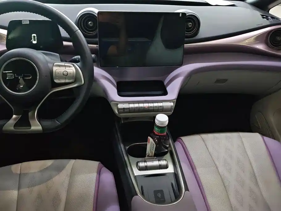 BYD Dolphin — миниатюра 13