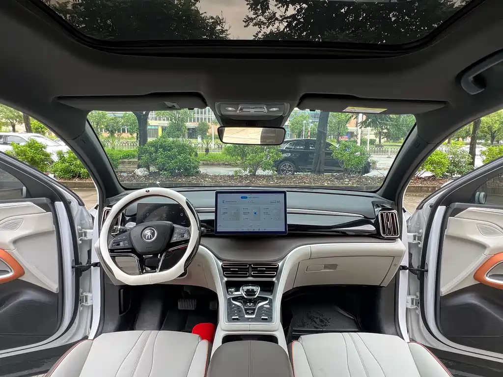 BYD Pro New Energy — миниатюра 5
