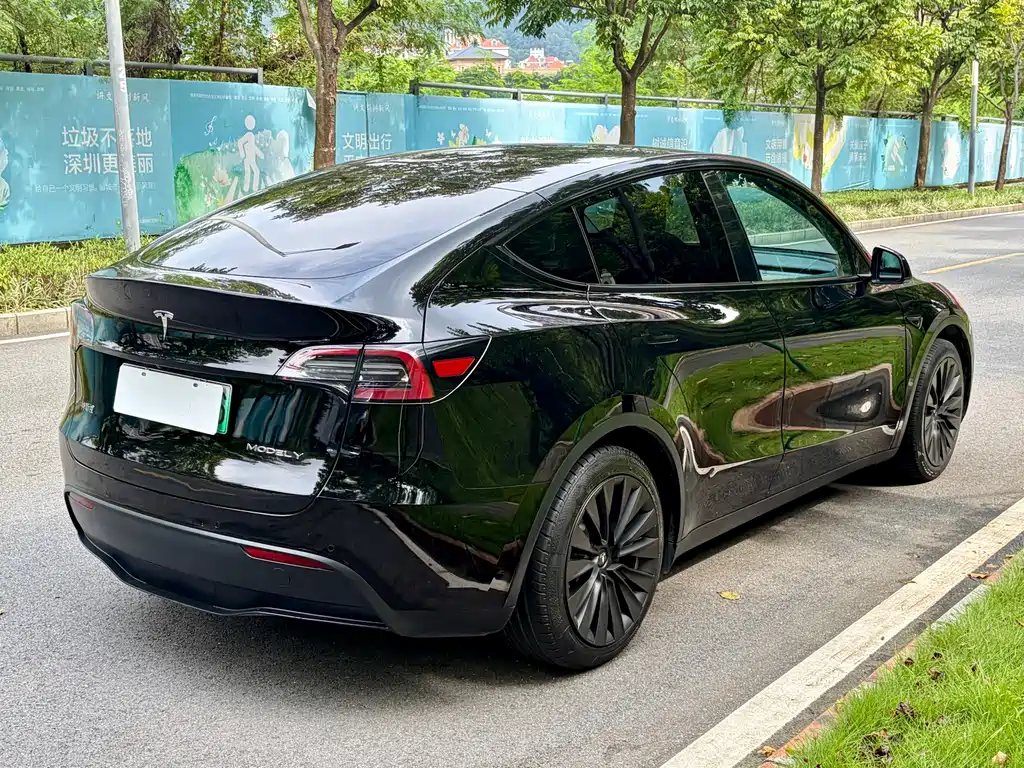 Tesla Model Y — миниатюра 9