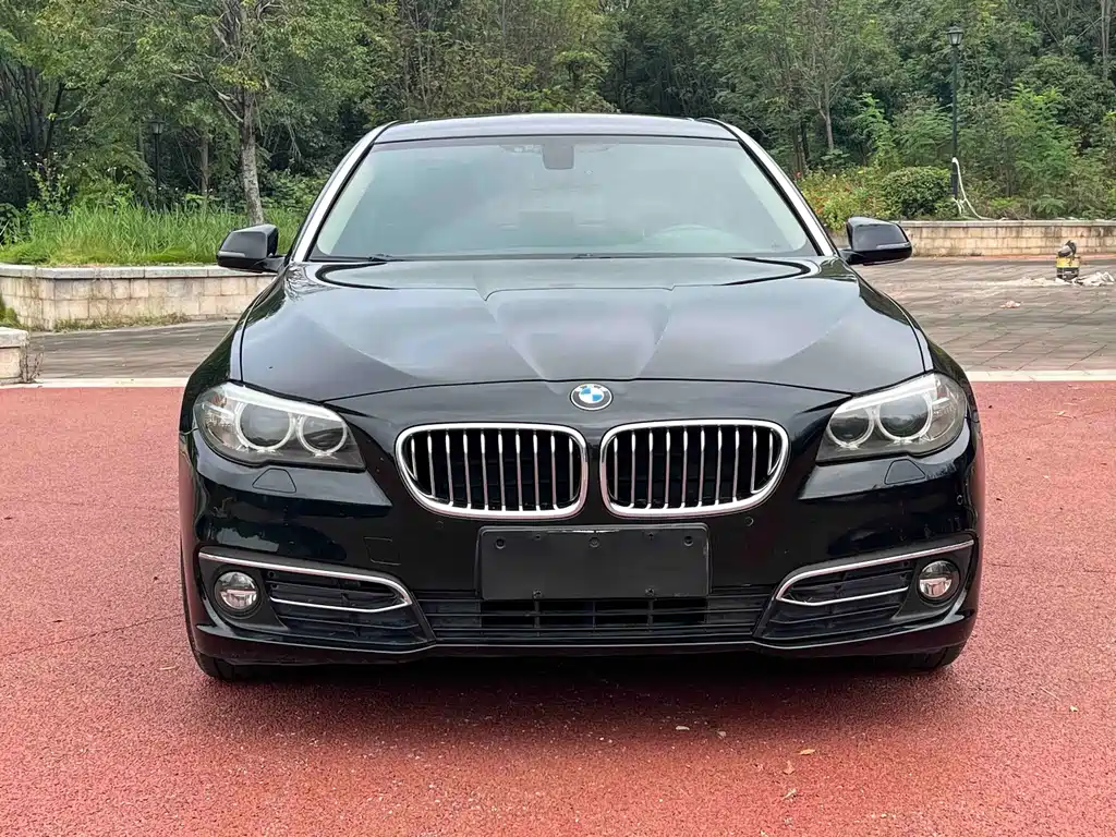 BMW 5 Series — миниатюра 2