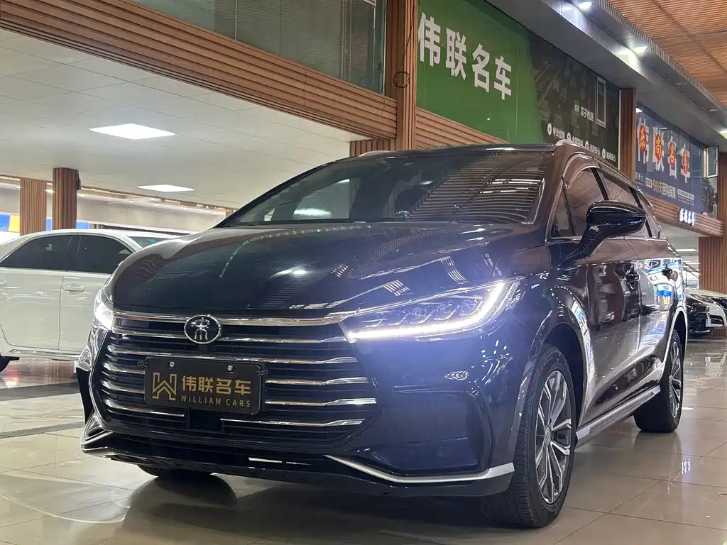 Byd MAX 2021
