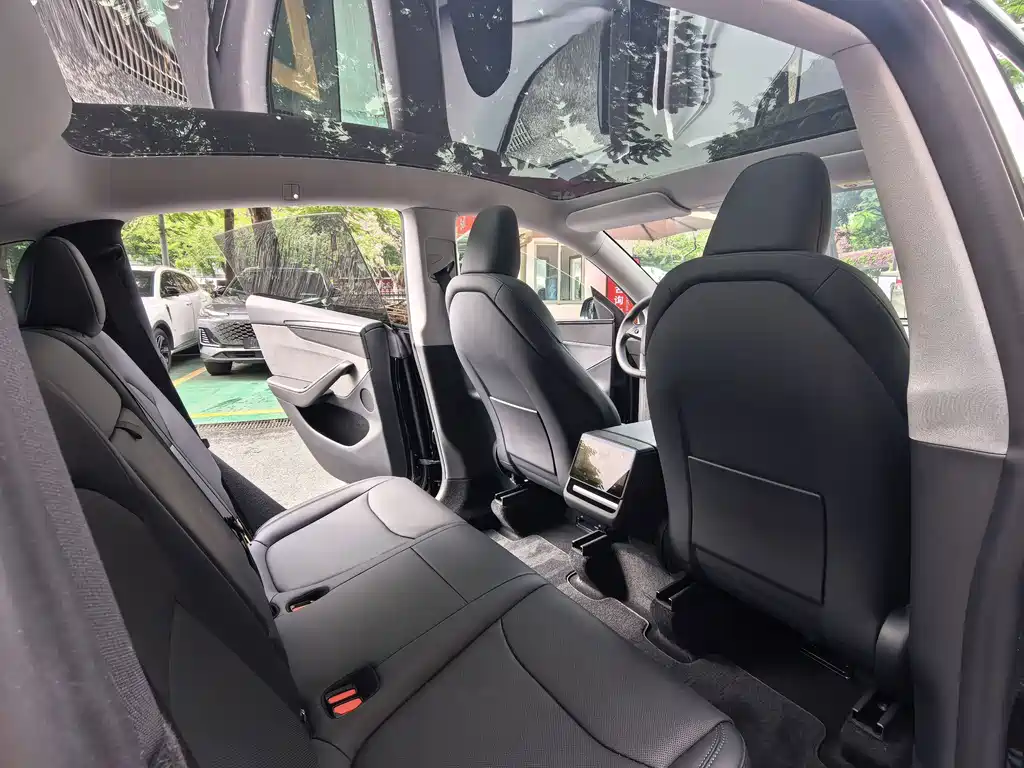 Tesla Model Y — миниатюра 12