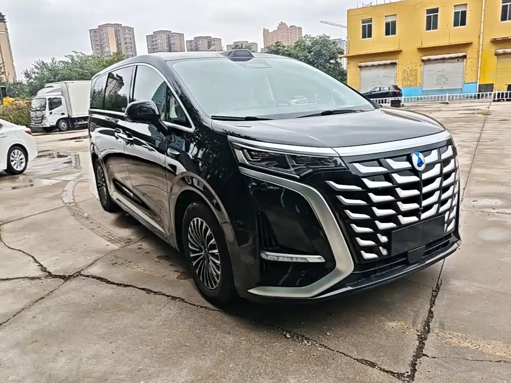 Denza Denza D9 — миниатюра 4