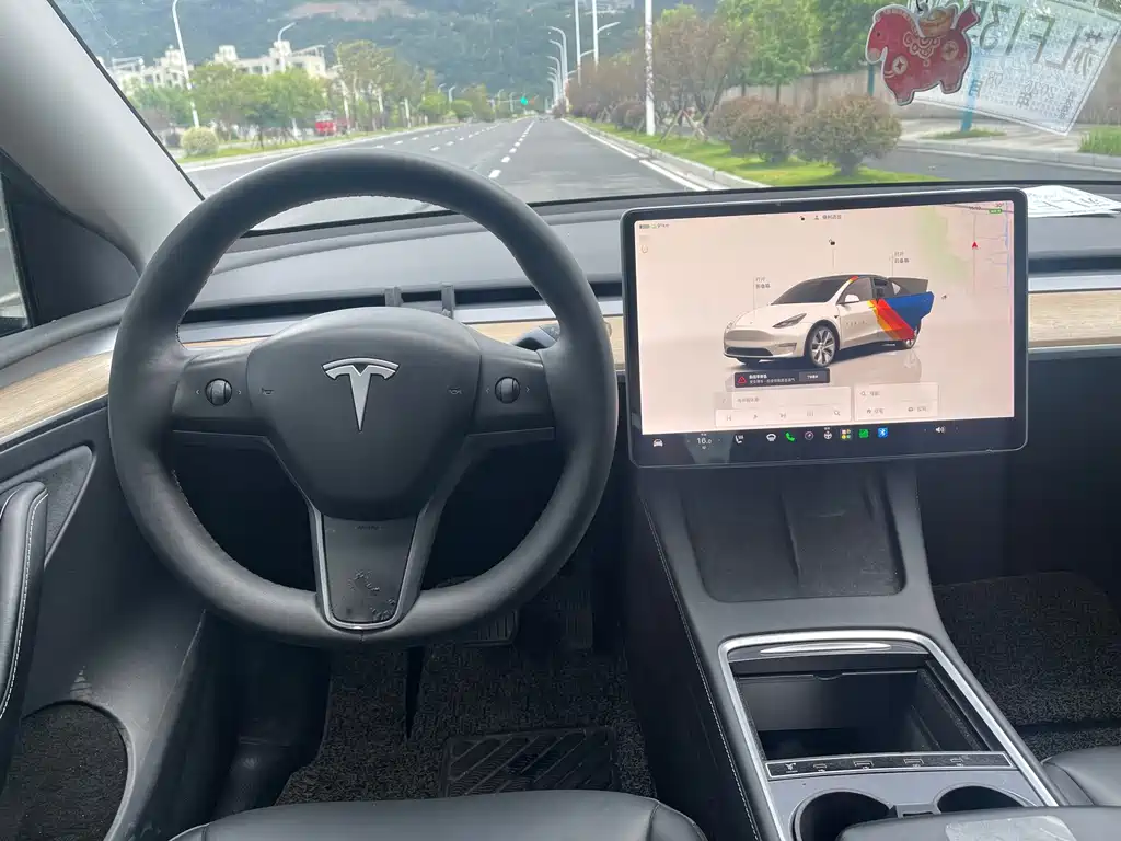 Tesla Model Y — миниатюра 10