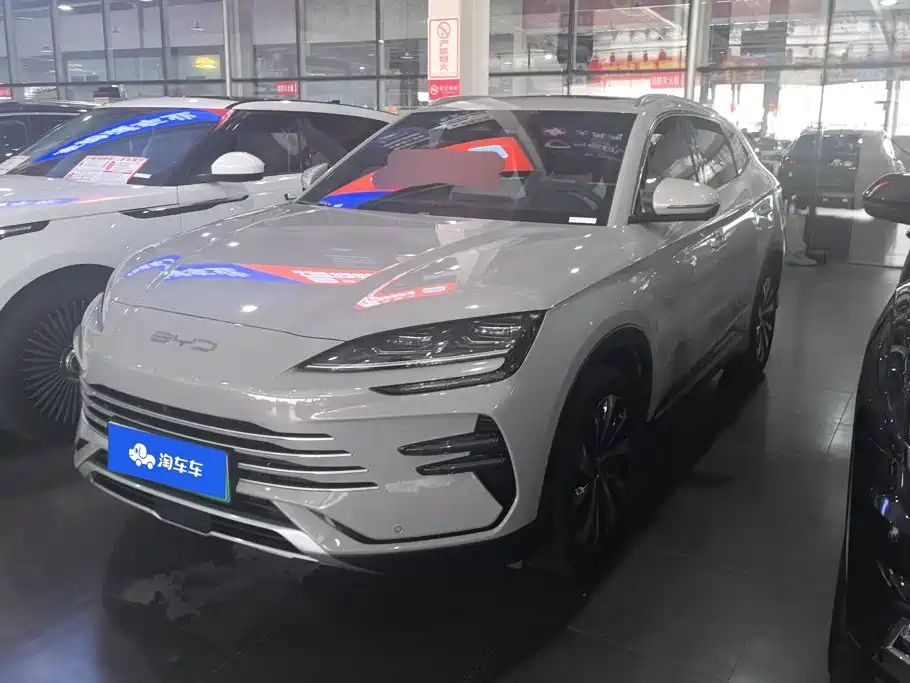 BYD PLUS New Energy