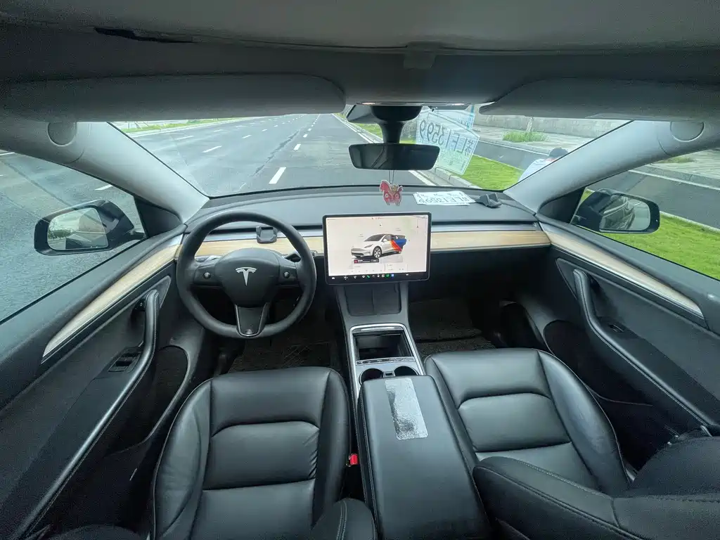 Tesla Model Y — миниатюра 9