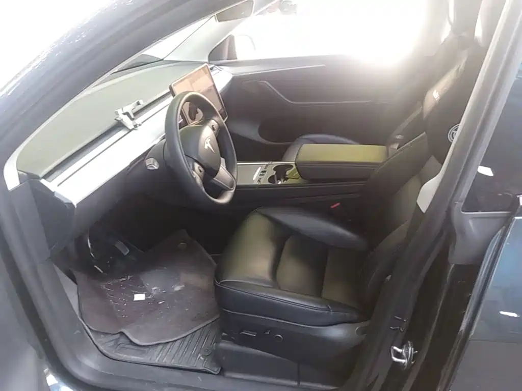 Tesla Model Y — миниатюра 15