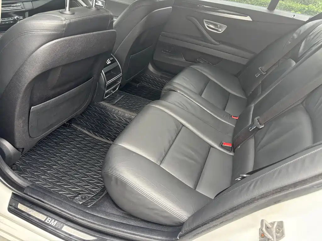 BMW 5 Series 5 2014 525Li Lead