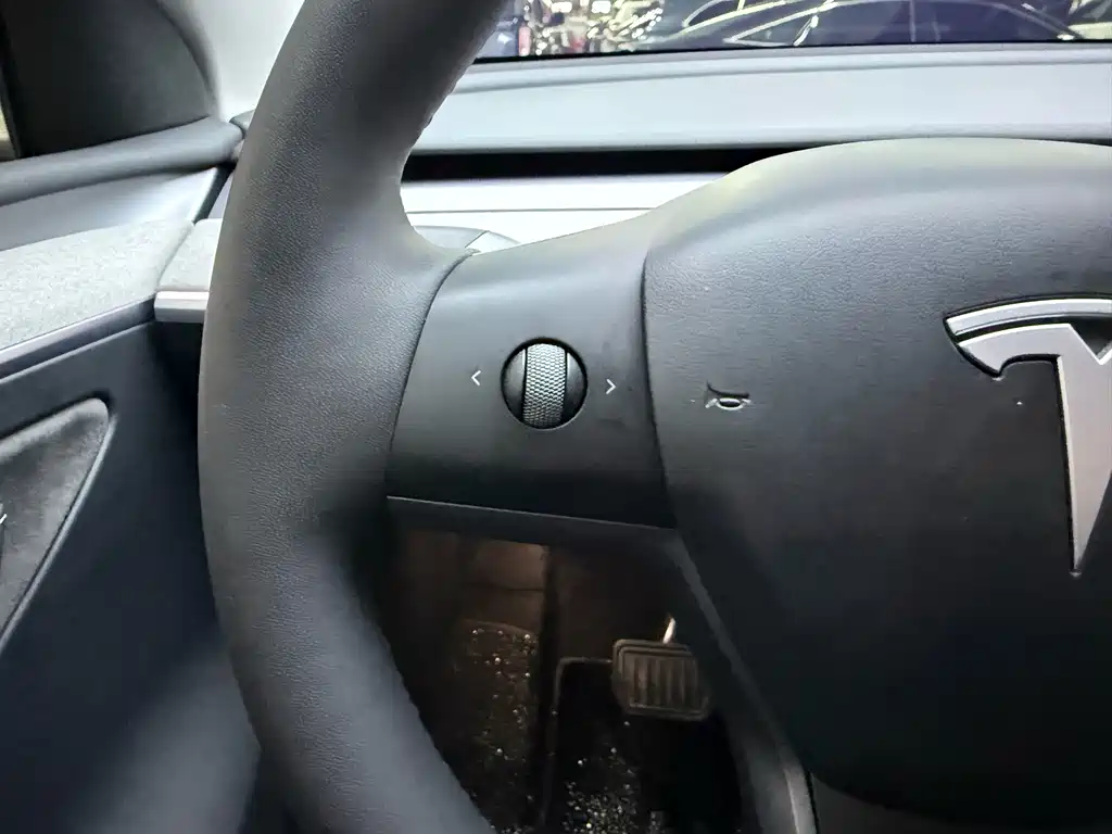 Tesla Model Y — миниатюра 23