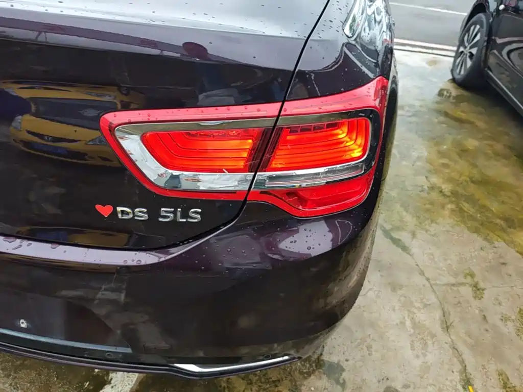 DS DS 5LS — миниатюра 8
