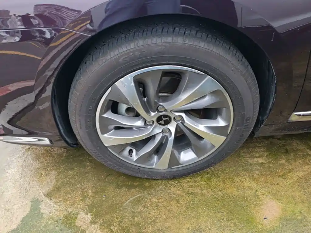 DS DS 5LS — миниатюра 23