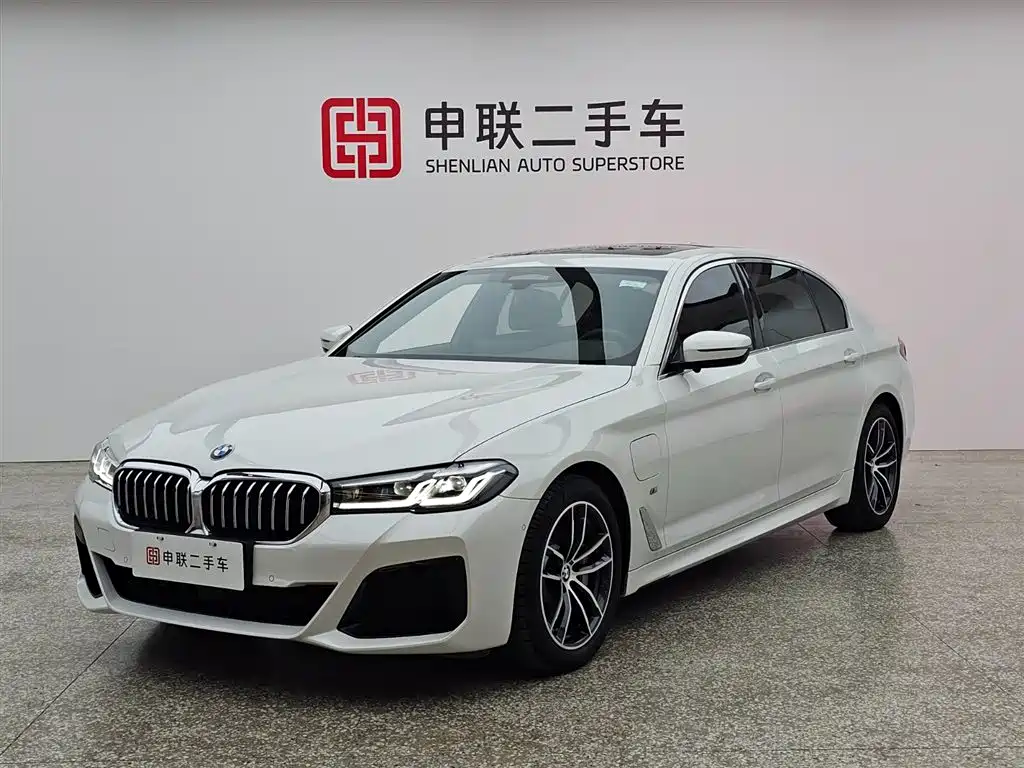 BMW 5 Series New Energy 2021