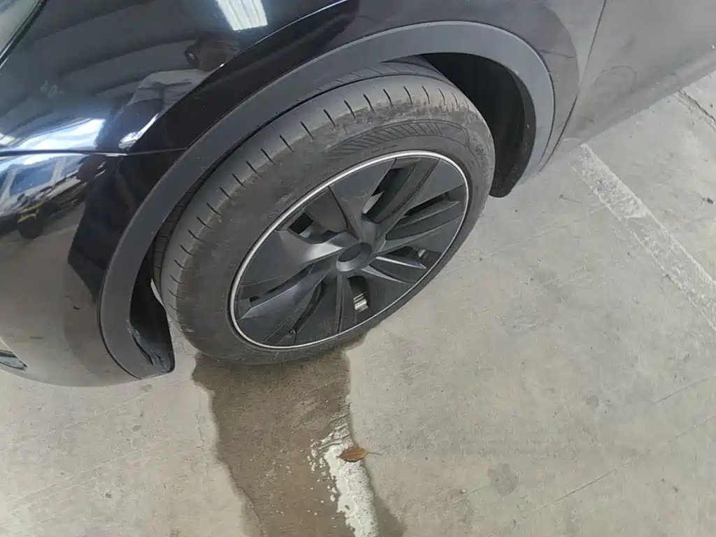 Tesla Model Y — миниатюра 23