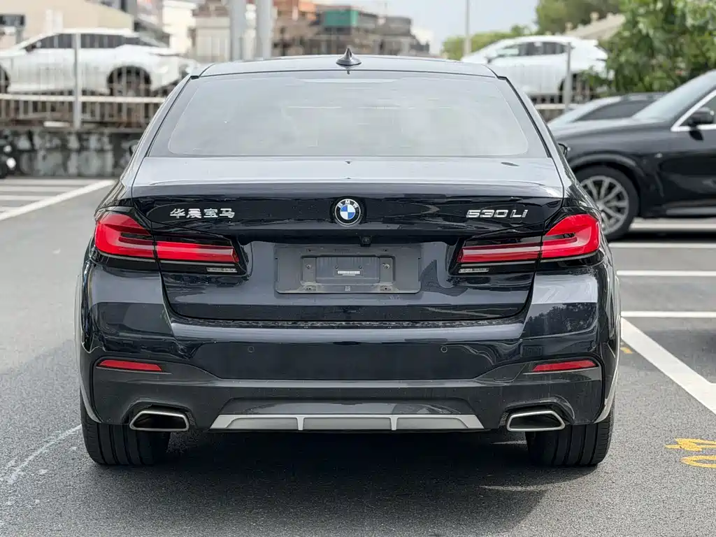 BMW 5 Series — миниатюра 5