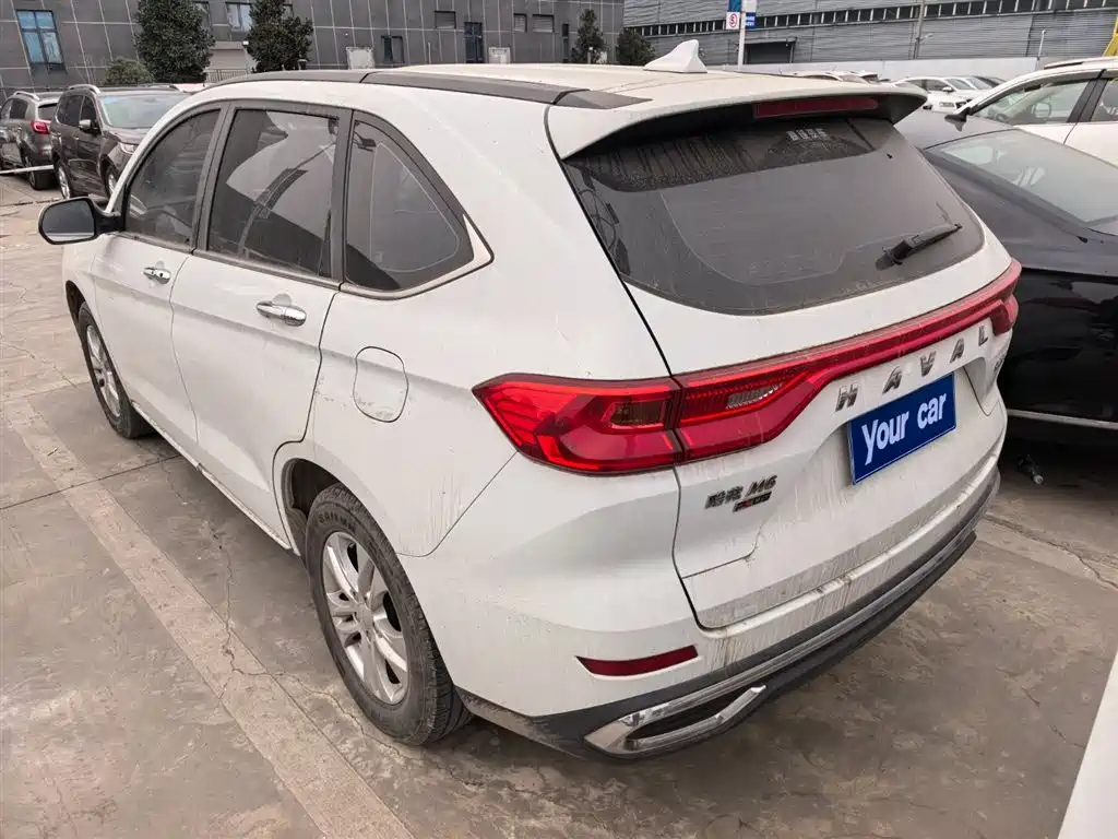 HAVAL M6