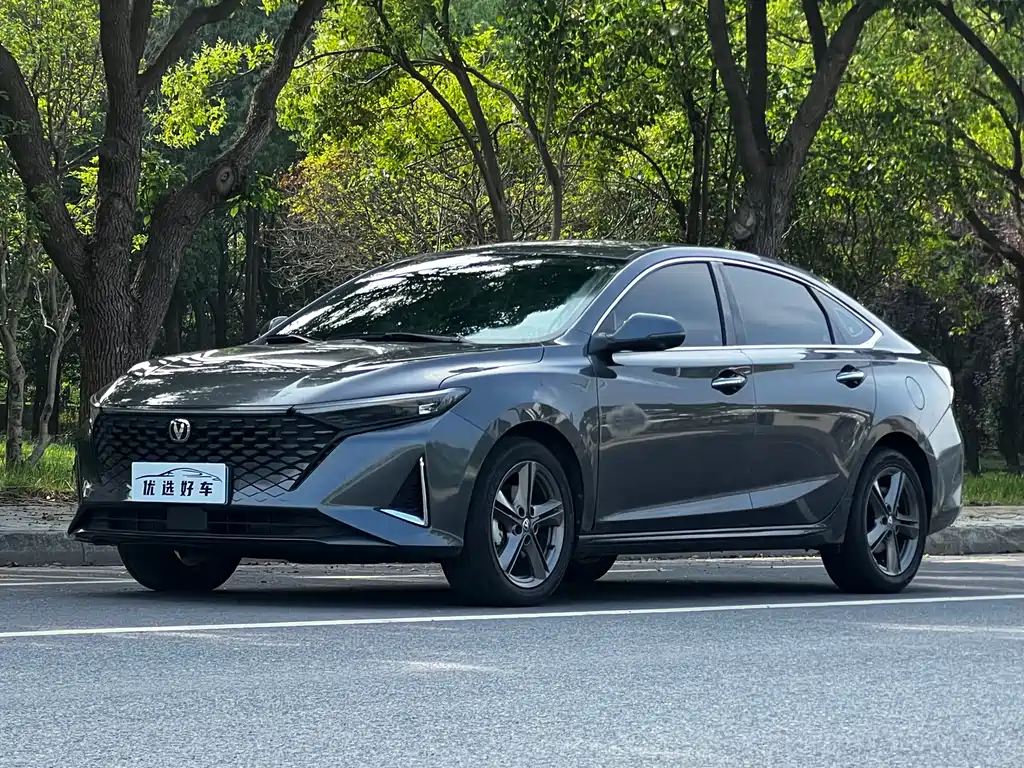 2023 Changan Raeton - zdjęcie 1 z 19