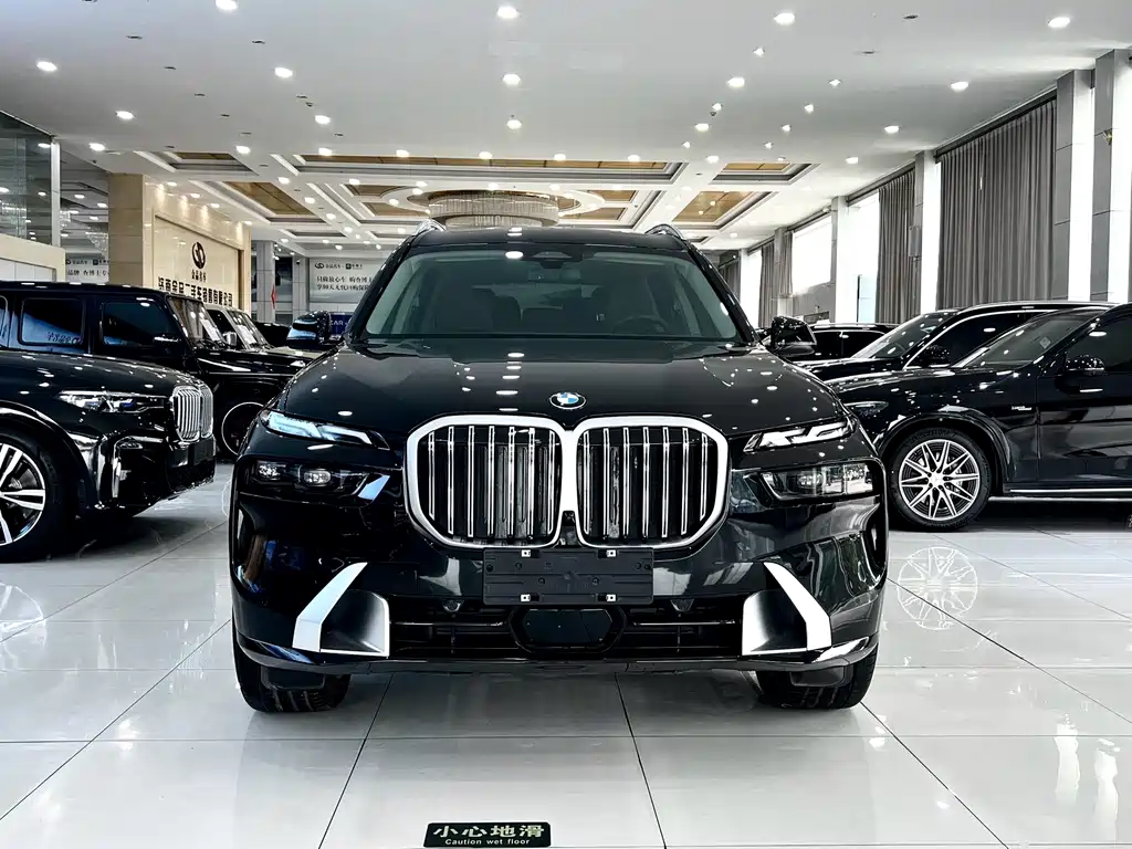 BMW X7 — миниатюра 3