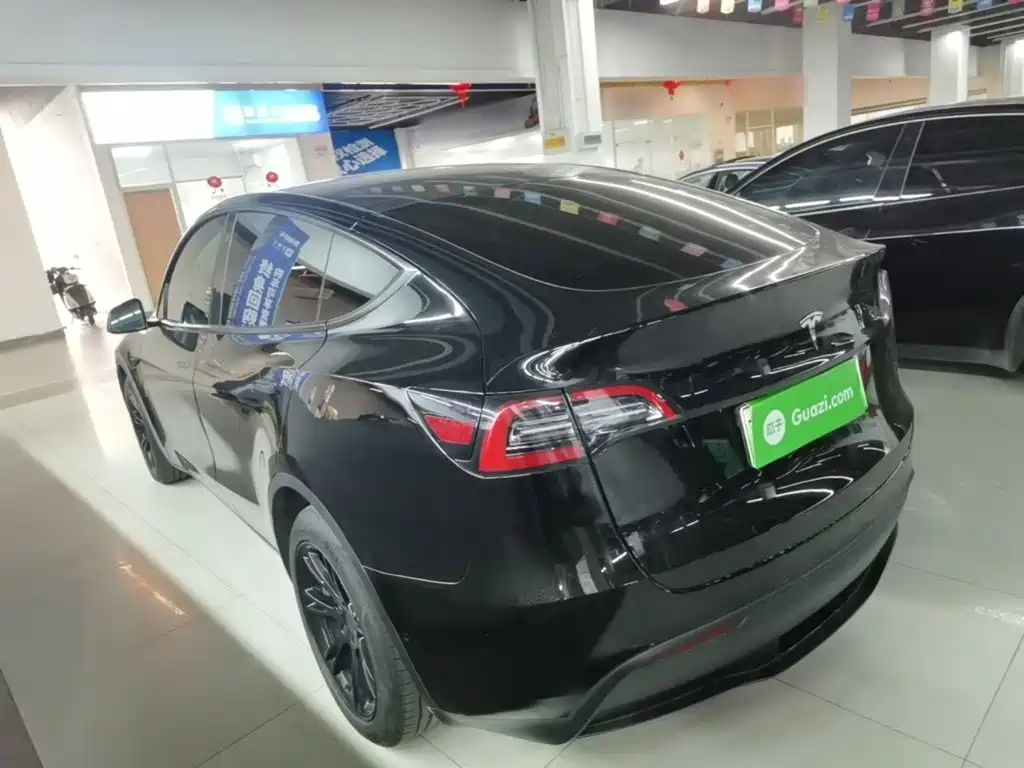Tesla Model Y — миниатюра 5